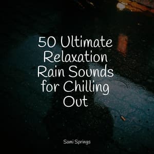 50 Ultimate Relaxation Rain Sounds for Chilling Out - Weather Factory