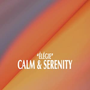 "Élégie" - Calm & Serenity - Johann Sebastian Bach