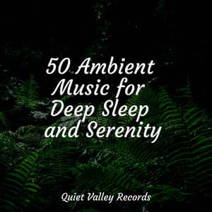 50 Ambient Music for Deep Sleep and Serenity - Sleep Rain