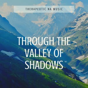 Through the Valley of Shadows, to the Summit of Peace - Therapeutic NA Music