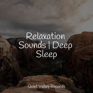Relaxation Sounds | Deep Sleep - Rain Sounds