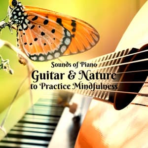 Sounds of Piano, Guitar and Nature to Practice Mindfulness - Easy Listening Relaxation Piano Radio