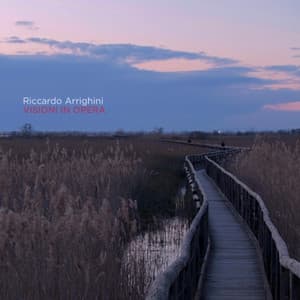 Visioni in opera - Rielaborazione R. Arrighini