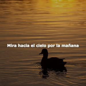 Mira hacia el cielo por la mañana - Música Lounge Relax para Cafés