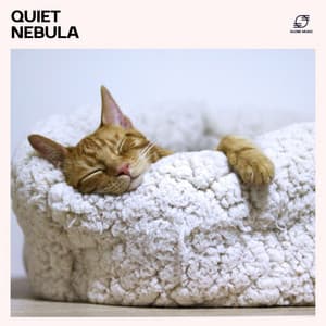 Quiet Nebula - Sleep Music Zone