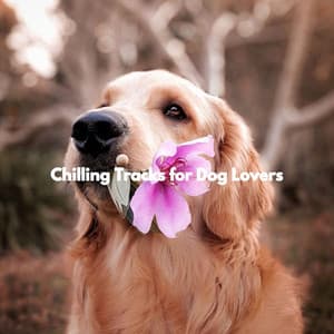 Chilling Tracks for Dog Lovers - Light Dinner & Jazz