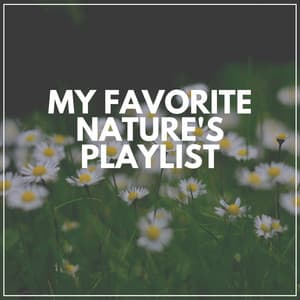 My Favorite Nature's Playlist - Worldwide Nature Studios