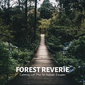 Forest Reverie: Calming Lofi Mix for Nature Escapes - Cafe Lounge Groove