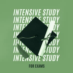 Intensive Study for Exams - Sounds of Nature to Concentrate and Focus - Study New Age Counter Display