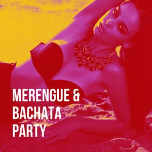 Merengue & Bachata Party - Bachata Hit