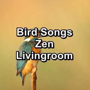 Bird Songs Zen Livingroom - Bird Sounds