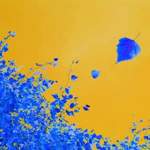 Music for Studying Legends - Piano Duo - Harlem Jazz Guitar Quartet