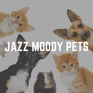 Jazz Moody Pets - Jazz Music Therapy for Cats