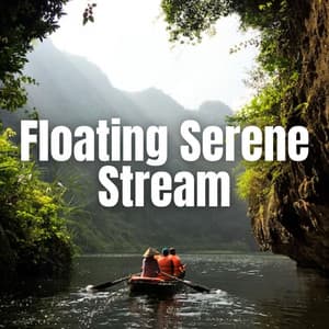 Floating Serene Stream - Floating Log