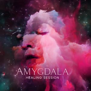 Amygdala Healing Session: Practicing Stress Reduction Techniques such as Meditation, Deep Breathing and Exercising - Bryan Hz Solfeggio