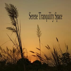 Serene Tranquility Space - Música Relajante
