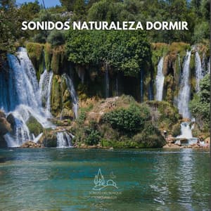 Sonidos Naturaleza Dormir - Sonido Del Bosque y Naturaleza