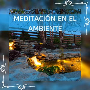 Meditación en el Ambiente - Entrenamiento Autògeno y Meditación Specialistas