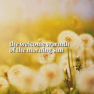 The Welcome Warmth of the Morning Sun - Natural Sound Makers