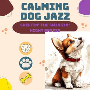 Sniffin' the Swingin' Night Breeze - Calming Dog Jazz