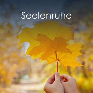 Seelenruhe - Entspannende Medizin