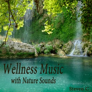 Wellness Music with Nature Sounds - Steven C