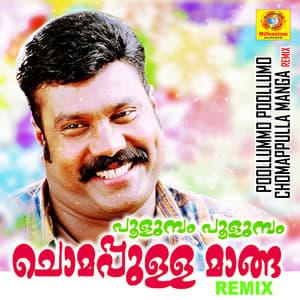 Poollummo Poollumo Chomappulla Manga Remix - Kalabhavan Mani