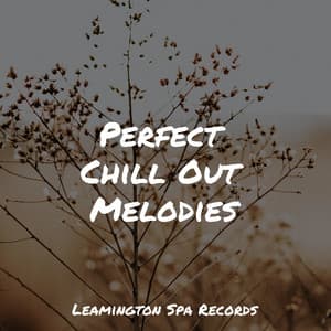 Perfect Chill Out Melodies - Bedtime Baby