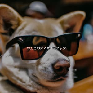 わんこのディスコ・ヒッツ - Happy Jazz