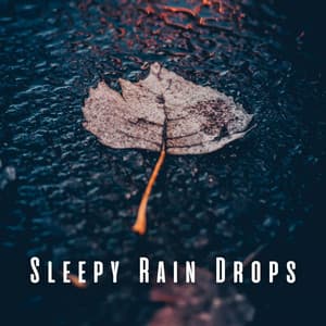 Sleepy Rain Drops: Tranquil Rain Ambience for Restful Nights ASMR - Rain Sounds Sleep