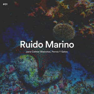 #01 Ruido Marino para Calmar Mascotas, Perros Y Gatos - Olas del Mar
