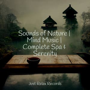 Sounds of Nature | Mind Music | Complete Spa & Serenity - Natural Sounds