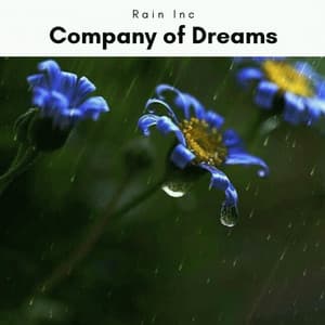 1 Company of Dreams - Rain Inc