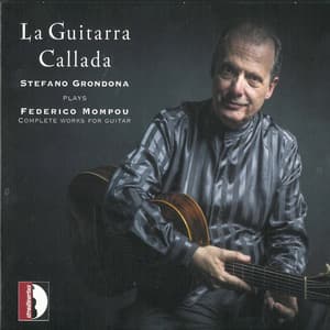 La Guitarra Callada - Stefano Grondona