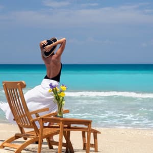 Seabreeze Serenity: Gentle Ocean Waves Calm Embrace - Binaural Odyssey