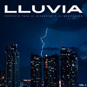 Lluvia: Perfecto Para El Bienestar Y La Meditación Vol. 1 - La biblioteca de la lluvia