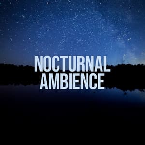 Nocturnal Ambience - Nature on Record