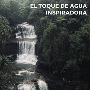 El Toque De Agua Inspiradora - Vida Sonidos Naturaleza