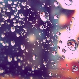 Music for Dining Out - Dinner Music Chill