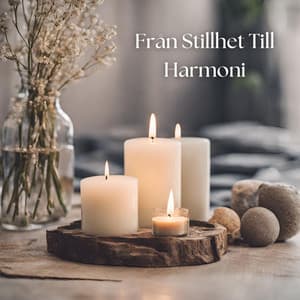 Från Stillhet Till Harmoni: En Mindfulness Resa - Mindfulness meditation världen