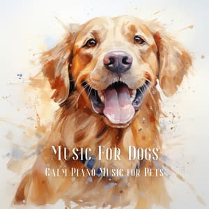 Music For Dogs: Calm Piano Music for Pets, Pet Relaxation and Relaxing Dog Music - Dog & Calm