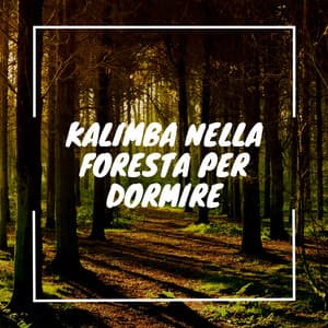 Kalimba nella foresta per dormire - Musica Curativa Club