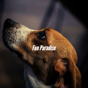 Fun Paradise - Dog Music Waves