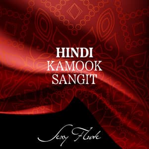 Hindi Kamook Sangit  - हिंदी कामुक संगीत - Hindi Vibe