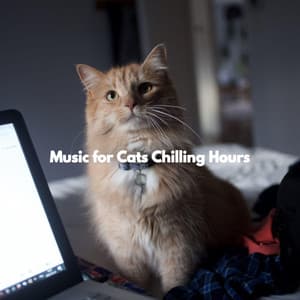 Music for Cats Chilling Hours - Cafe Jazz Deluxe