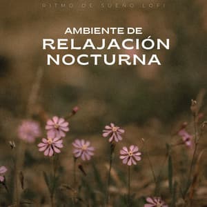 Ambiente De Relajación Nocturna: Ritmo De Sueño Lofi - Dormir lofi