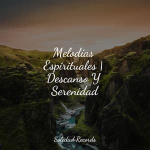 Melodías Espirituales | Descanso Y Serenidad - Música Zen Relaxante