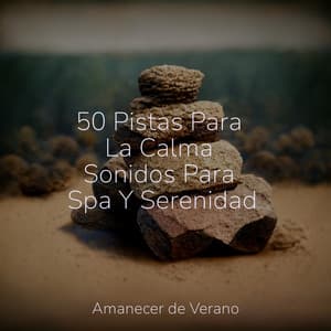 50 Pistas Para La Calma Sonidos Para Spa Y Serenidad - Masajes Spas