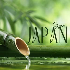 Healing Retreat Japan - Michael Garti