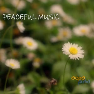 Peaceful Music - The Best Peaceful Music Collection for Relaxation,Meditation,Yoga and Tai Chi - Peaceful Music Orchestra